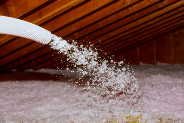 Best Insulation Maintenance and Repair in Snow Hill, MD