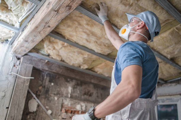 Best Blown-in Insulation in Snow Hill, MD