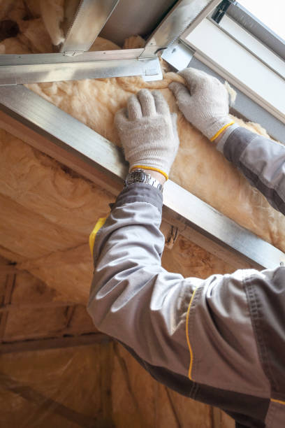 Best Residential Insulation in Snow Hill, MD