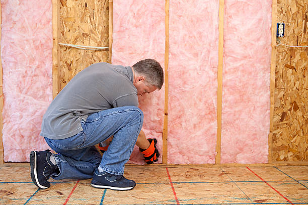 Best Blown-in Insulation in Snow Hill, MD